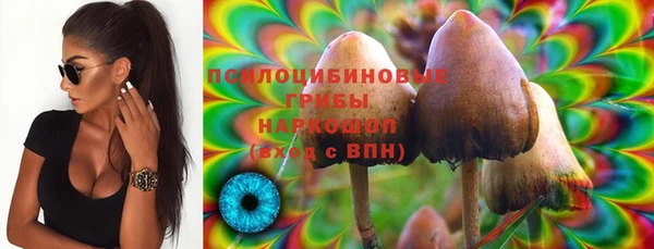 дурь Арсеньев