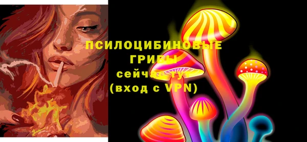 дмт Армянск