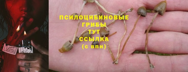 дмт Армянск
