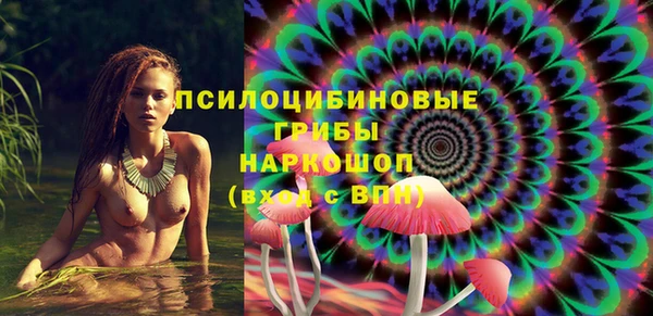 дмт Армянск