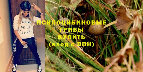 дурь Арсеньев
