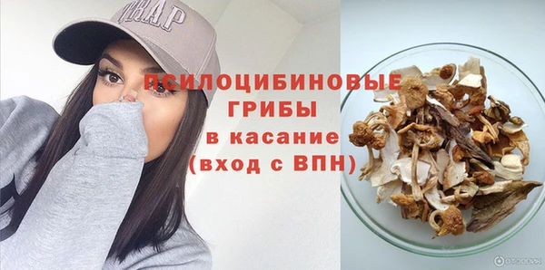 гидра Валуйки