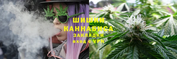 дурь Арсеньев